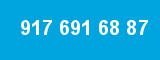 917 691 68 87